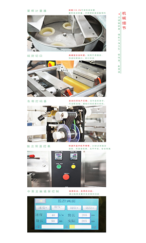 全自動(dòng)洗衣槽清洗劑包裝機